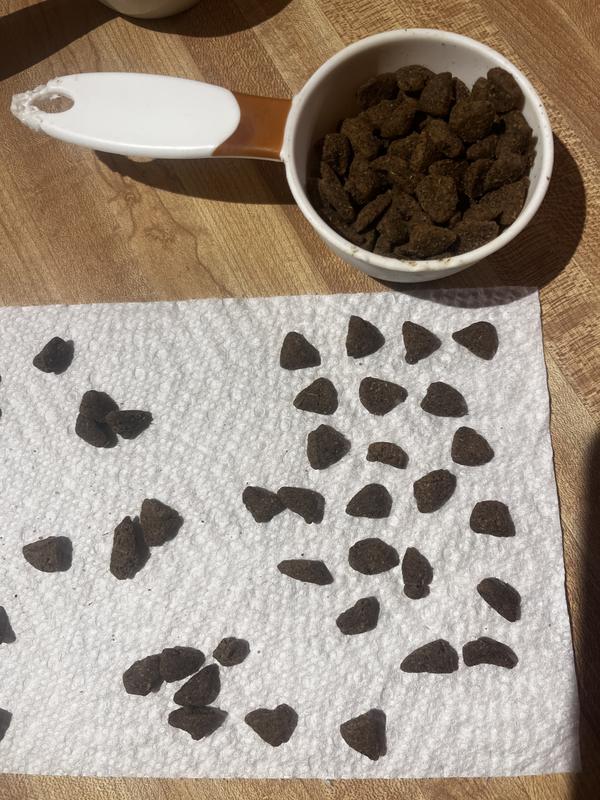 Photo for reference: normal size/shape pieces at the top, along with an assortment of random ones. These aren’t even the tiniest ones!