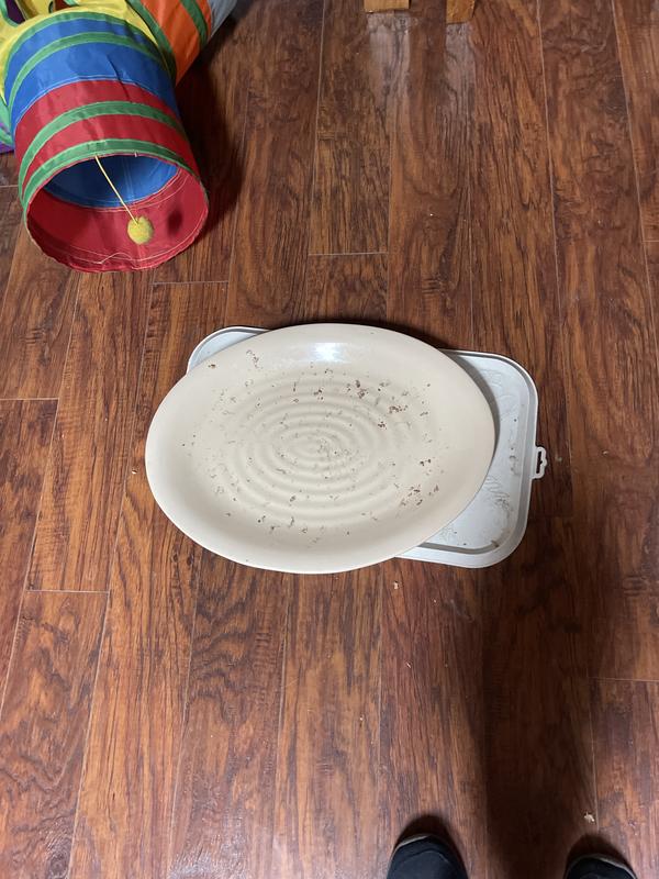 Yum Yum Yum they said!