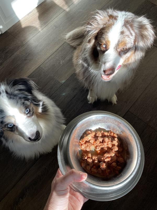 Drooling with anticipation