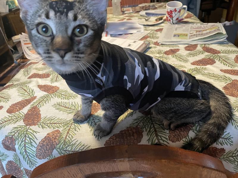 Suitical Recovery Suit cat Z camo xx-small - Van Noord's Dierenvoeders