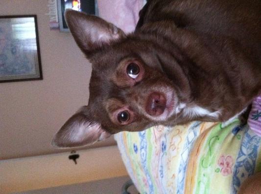 My sweet Bobby boy