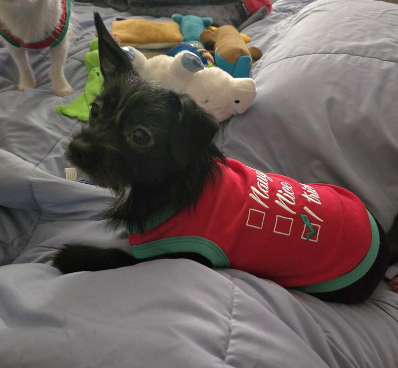 Luna is 8lbs of model material.