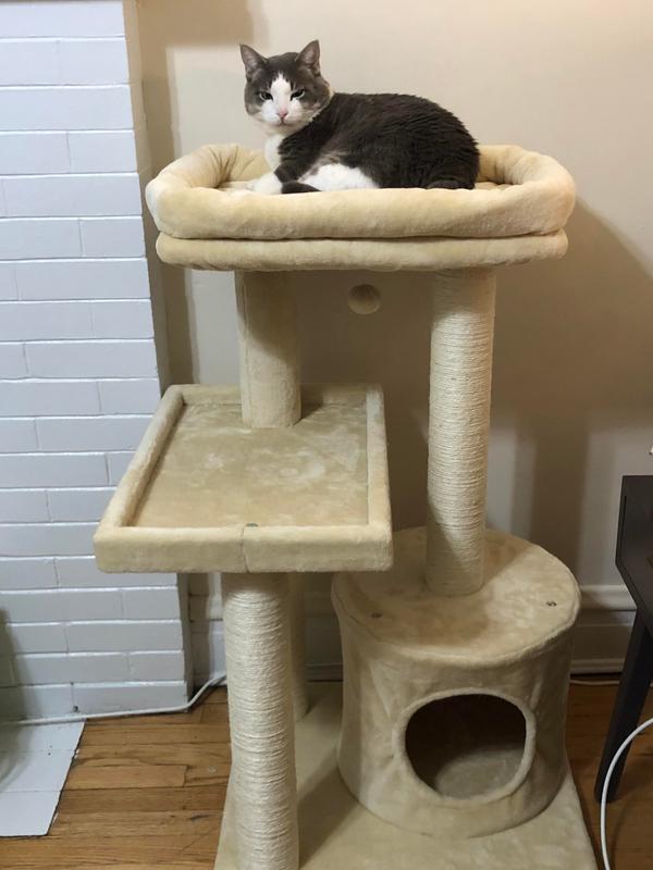 FRISCO 42in Heavy Duty Faux Fur Cat Tree & Condo, Gray