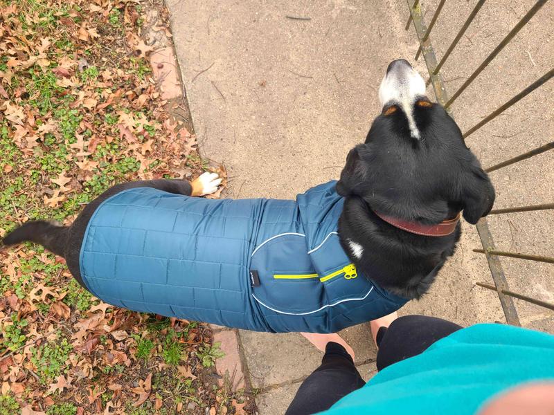 Kurgo loft waterproof dog on sale jacket