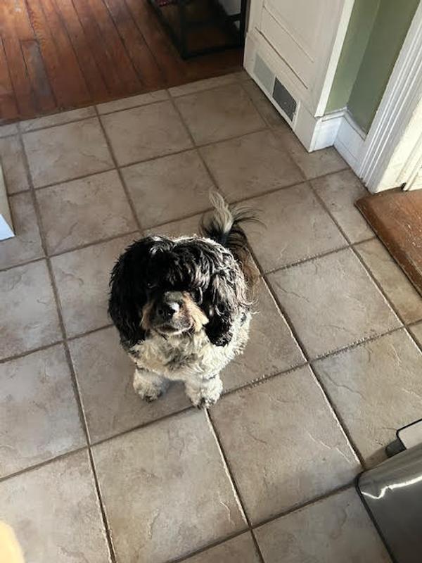 Not too proud to beg for them.