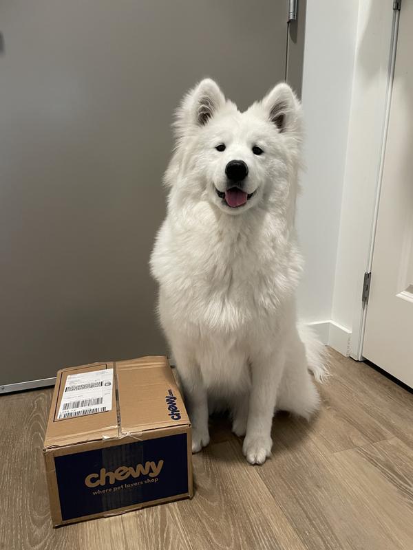 Been waiting all day for this!!