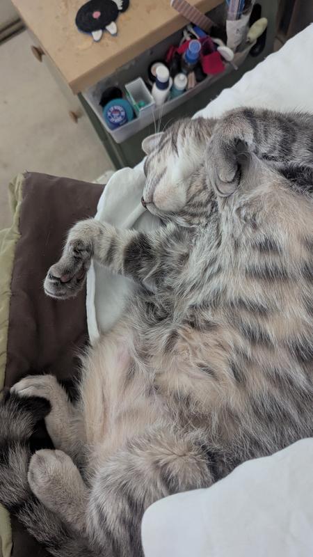 Nap with mommy