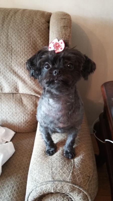 My precious Bella.