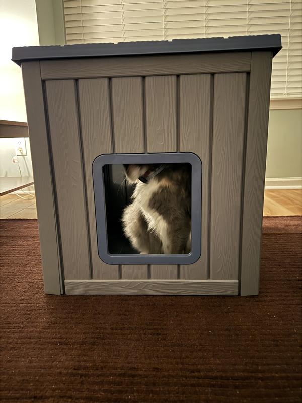 Standing at main entrance