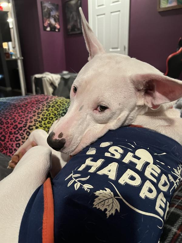 Happy in his shirt 🥰