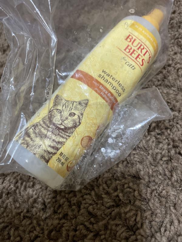 Cat Dander Can I Use Burt's Bees Dog Shampoo On Cats Burts