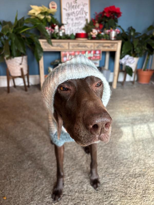 Nova loving her new sweater!