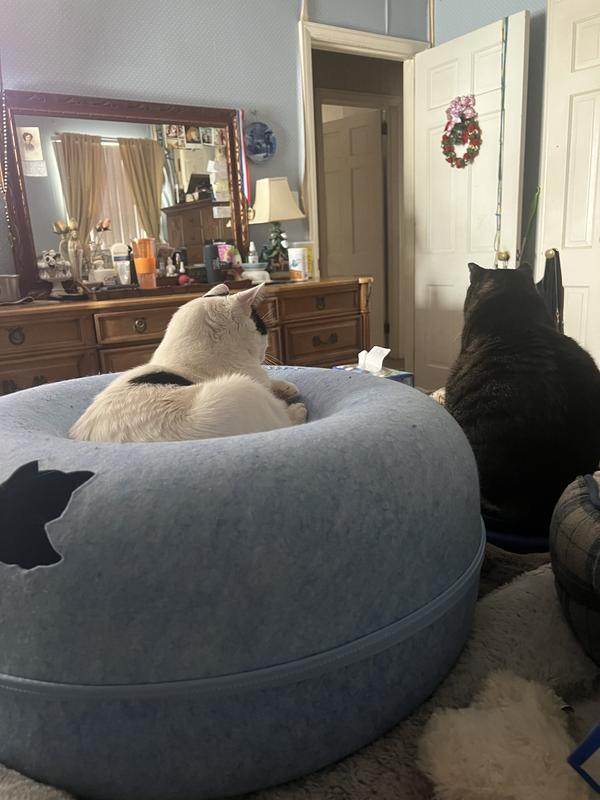 Where is dinner mommy!!!!