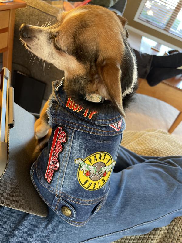 HEADS OR TAILS PUP Ruff & Roll Denim Dog Vest, X-Small - Chewy.com