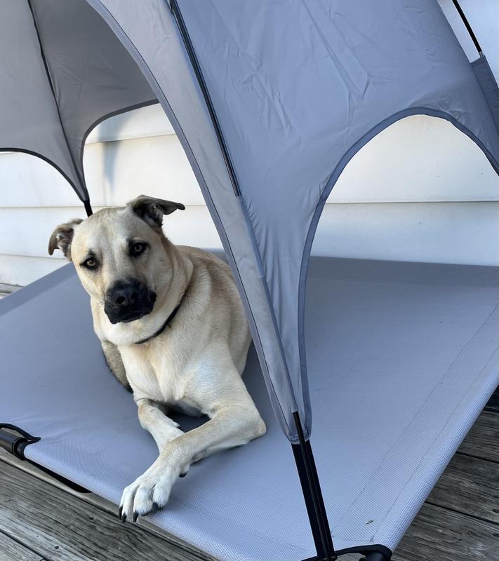 Completely content and master of his universe!