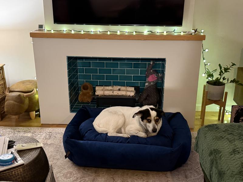Dorrie in her new bed.