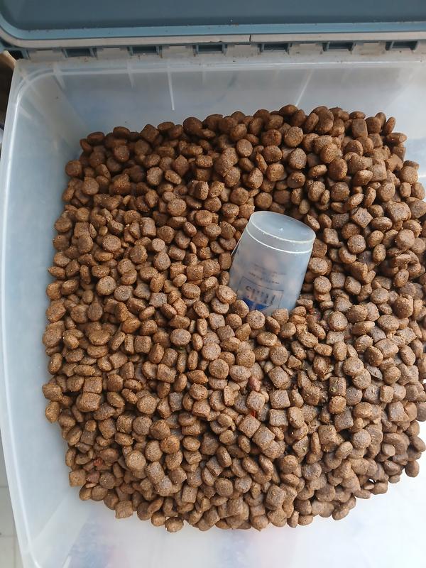 New kibble all the same. Only thing different is what I had in the bin.