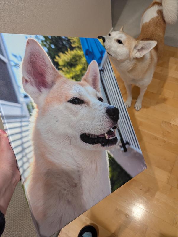 Quality control inspection in progress...