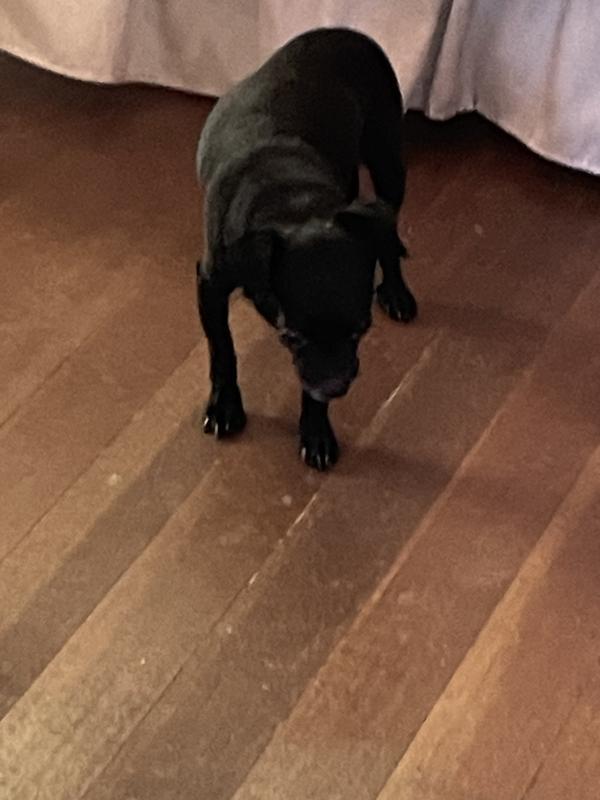 Rock after taking glucosamine