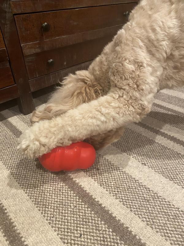 Kong Wobbler Dog Toy Slows Down Mealtime for Dogs That Eat Too Fast