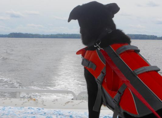 Kody watching from back of boat
