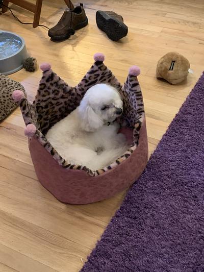 Emma and her new bed