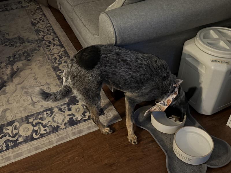 Merrick Back Country being devoured.