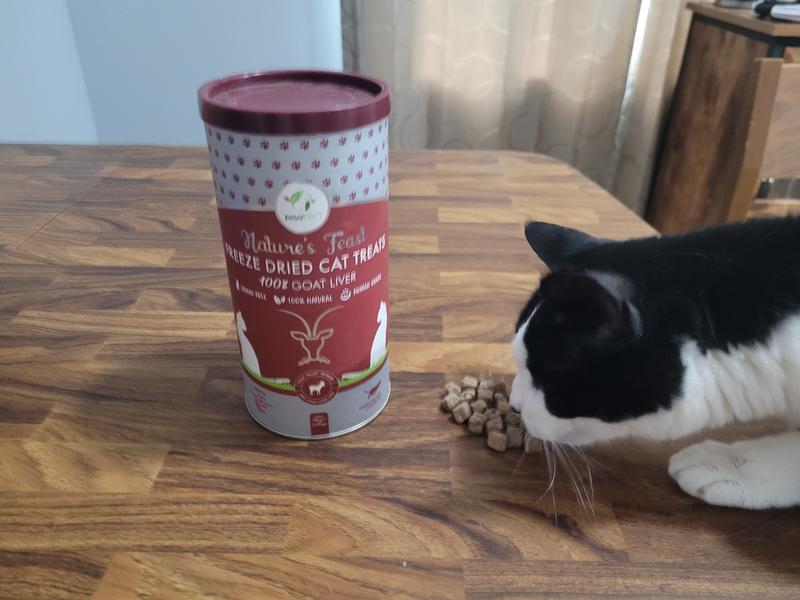 Kitty trying to steal a bite when I was working on taking a picture! At least I know she likes them.