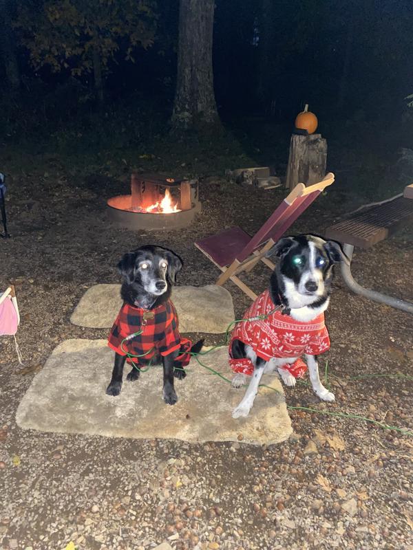 Tessie (left) and Big Ted (XXL) in their jammies.
