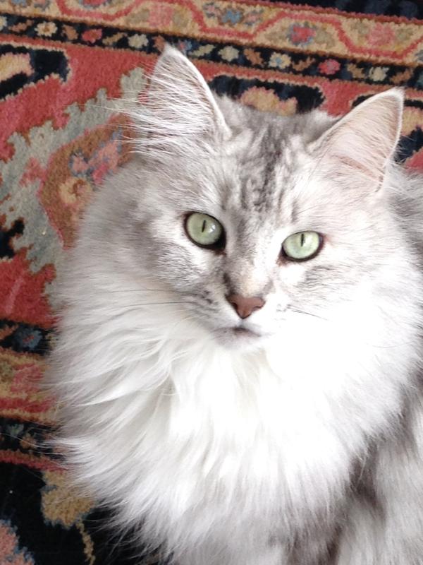 A satisfied customer!