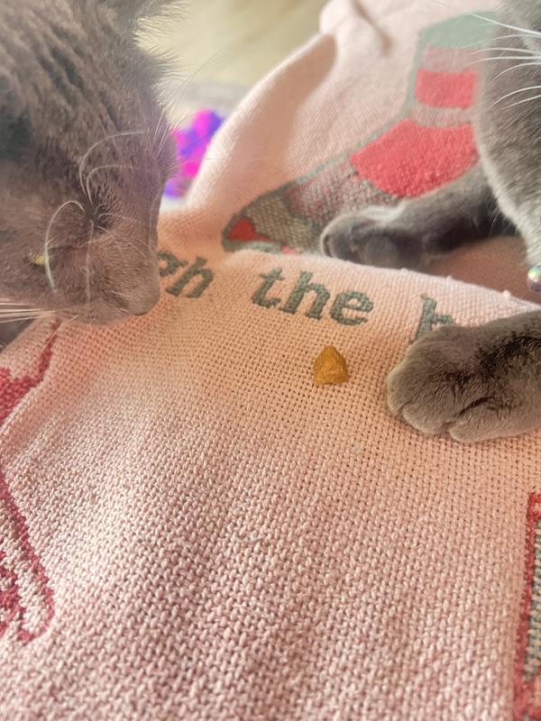 Liked them right from the start