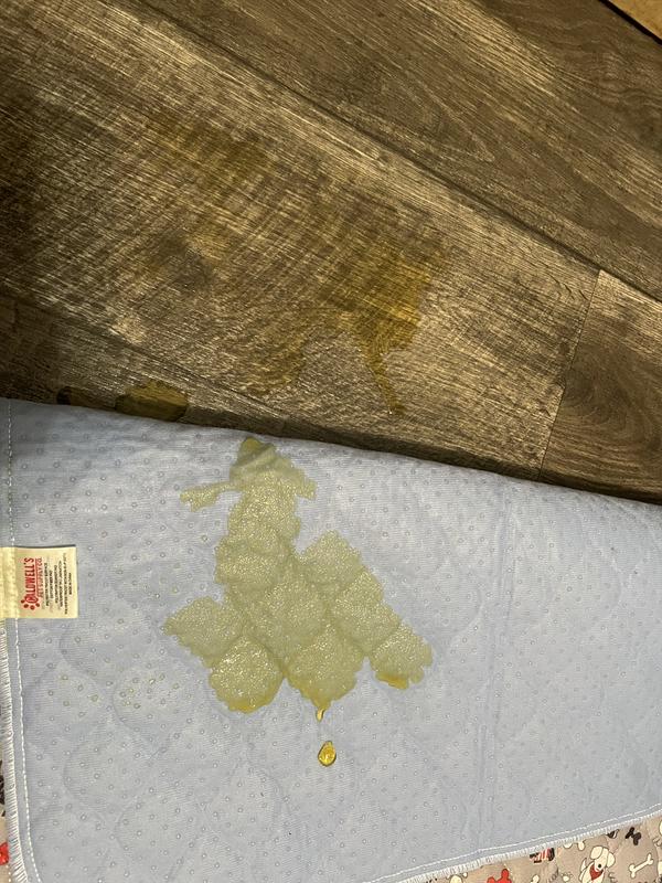 This is where it soaked through and then repelled from bottom so it just pooled on my floor.