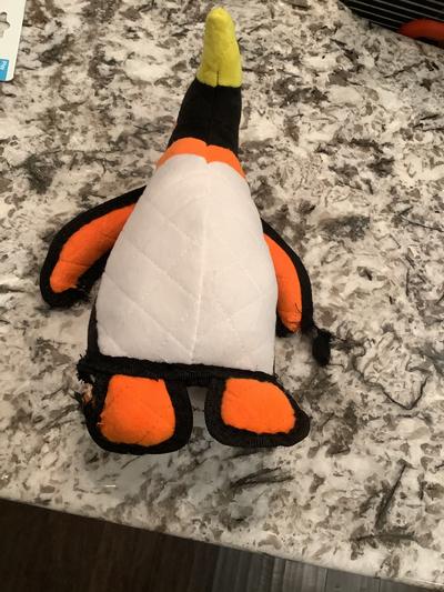 Both wings and one foot ripped within 20mins.