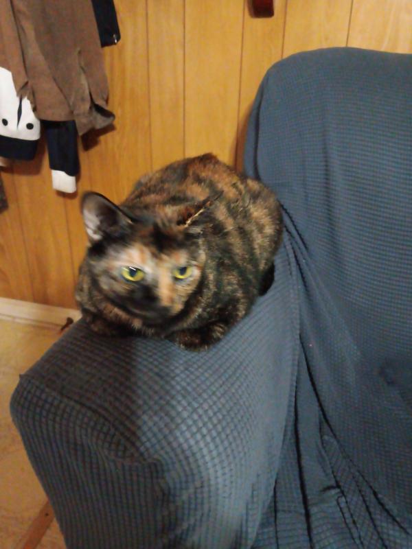 No itching problems for me.