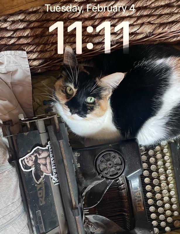 Healthier food, smarter kitty:)