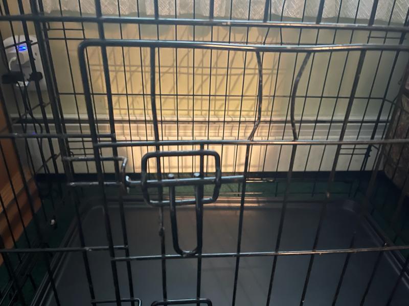 front door of crate with bar missing