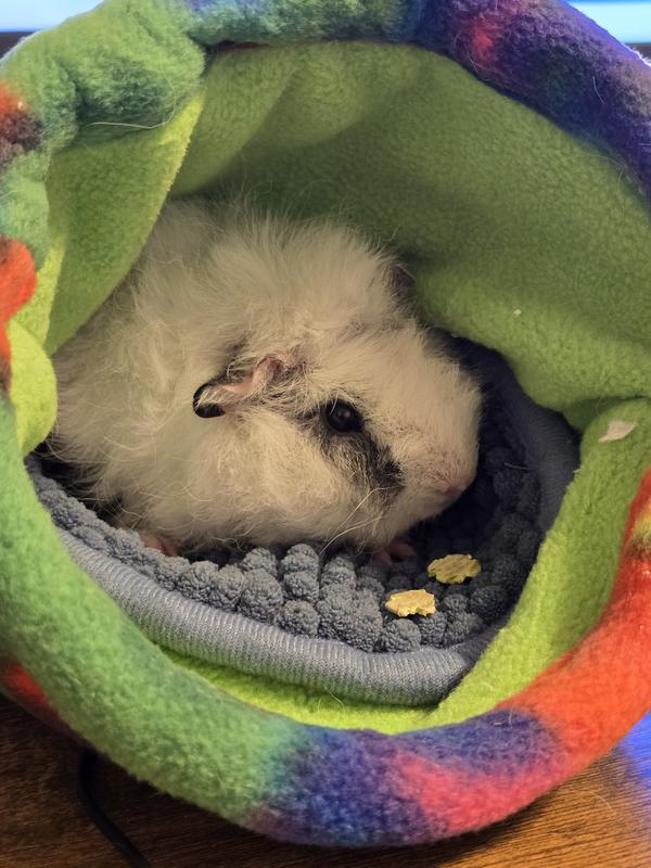 Enjoying snacks on my desk while I work.