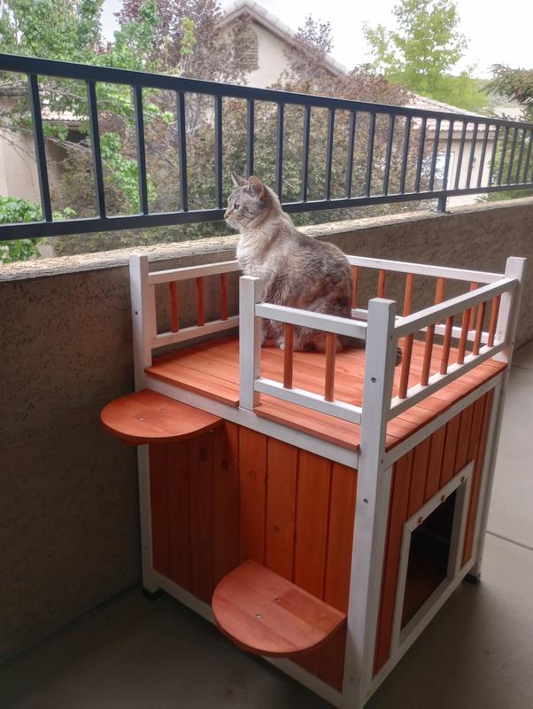 On the balcony and entranced by a new view, one minute after completing construction!