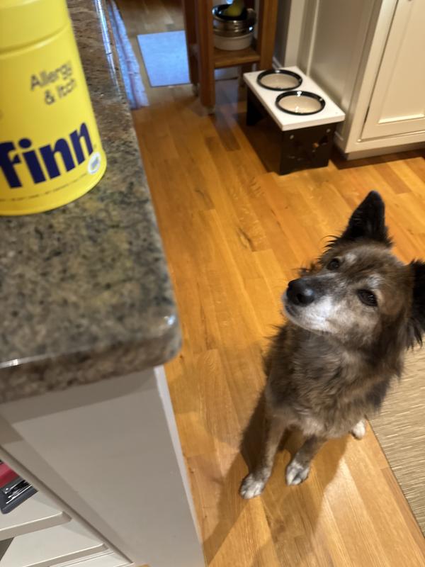 She now recognizes the can 😂💕