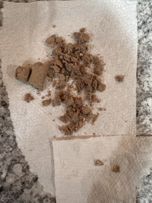 Bone fragments in bottom right of photo