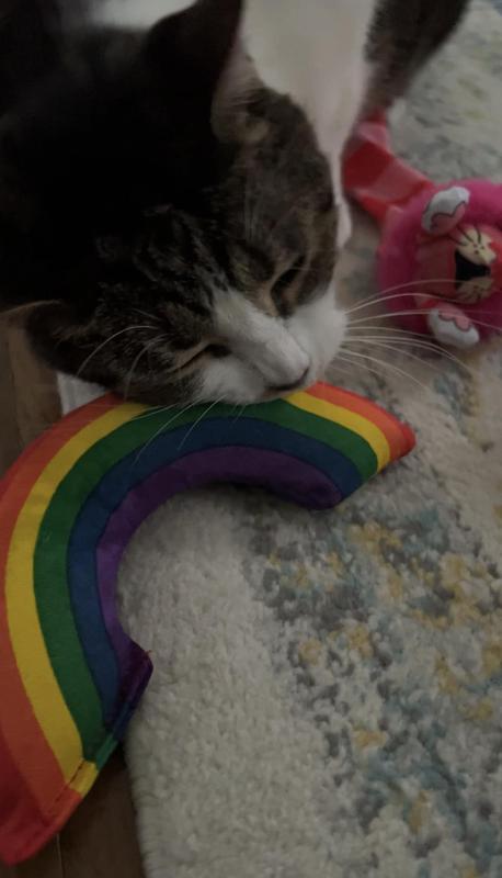 I love you rainbow!