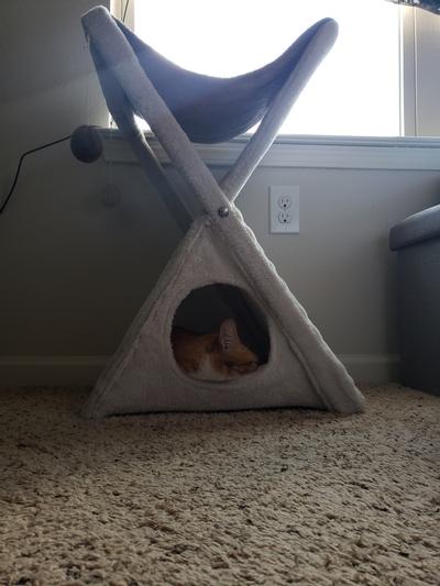 Fold and outlet store cat tower