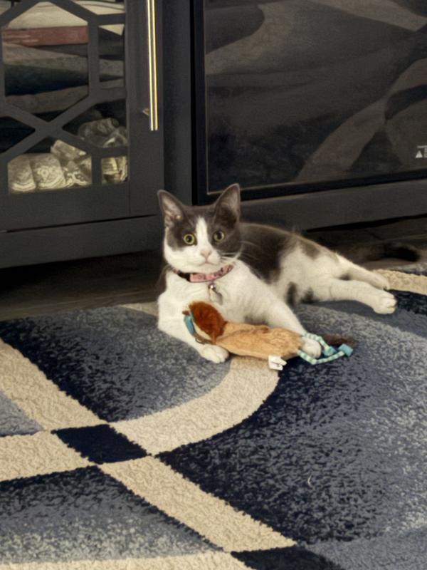 Snuggling with her Lion doll!🥰