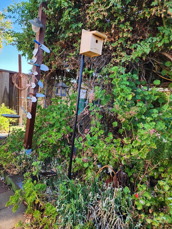 Metal pole is sturdy and looks great in the garden