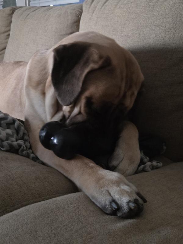 KONG Extreme Goodie Bone Dog Toy