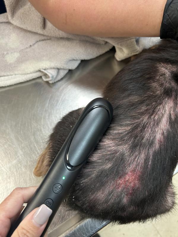 Flea removal and zapping.