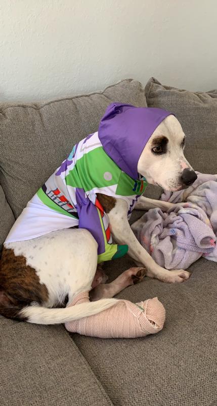 Big Dog Buzz Lightyear Toy Story Costume