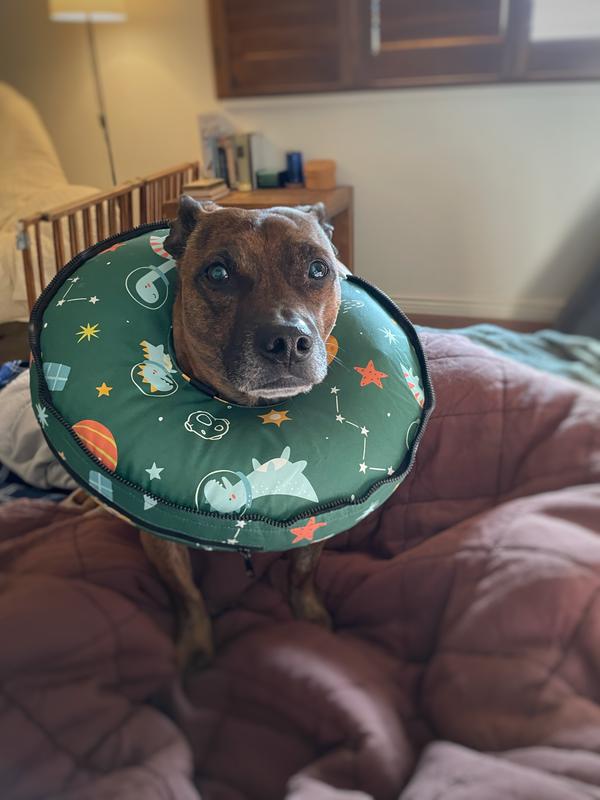 This inflatable collar is very comfortable