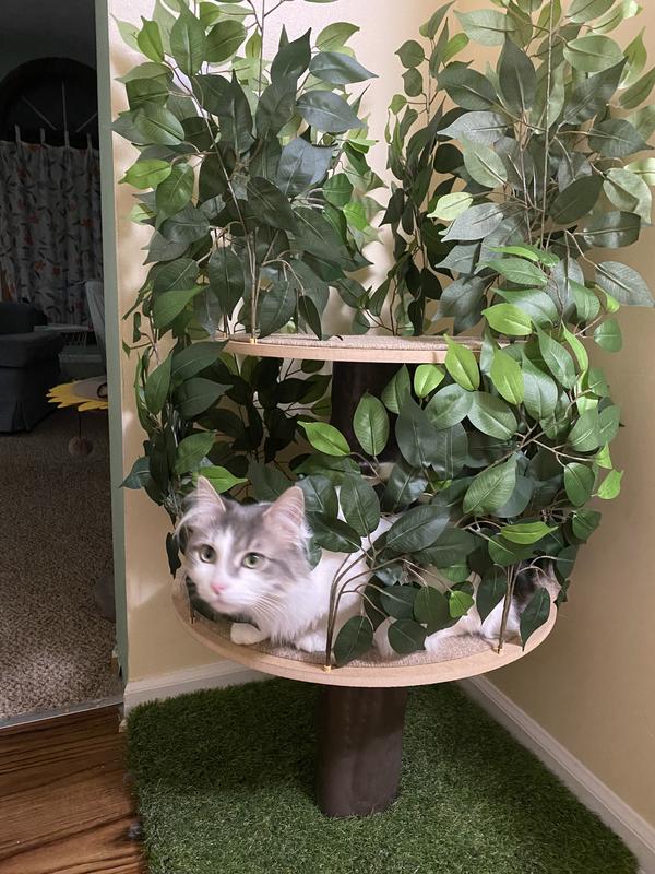 A bird.. or a cat?! Haha