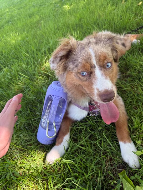 Aussie and her bottle